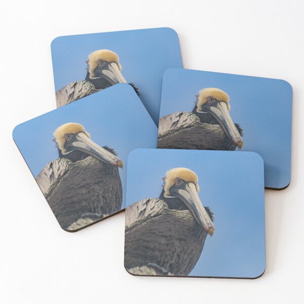Item preview, Perches designed and sold by KensLensDesigns.