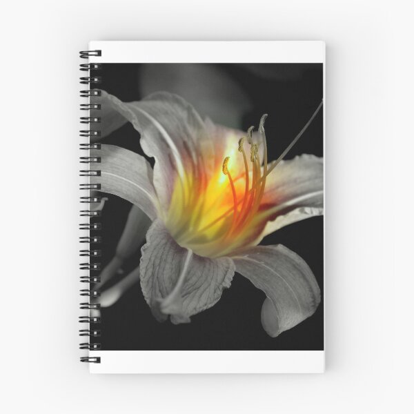 Item preview, Night Light designed and sold by Elfriede Fulda.