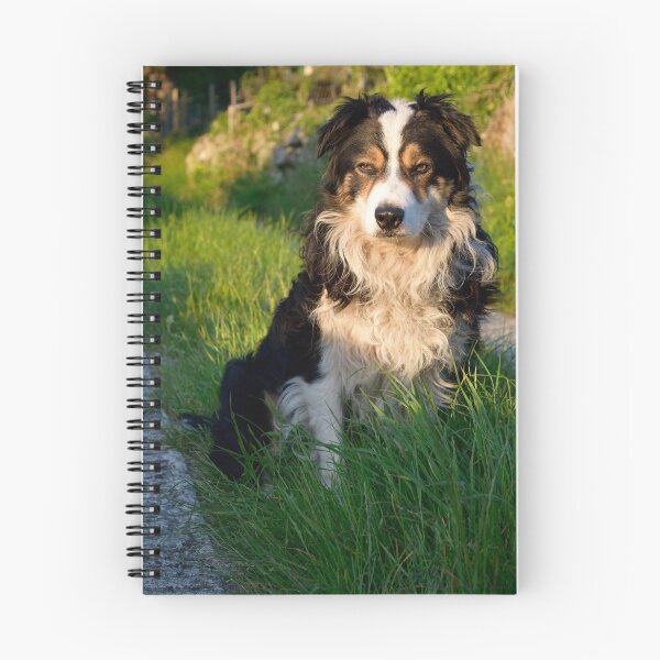 Item preview, My name is Laddie. designed and sold by Michael Haslam.