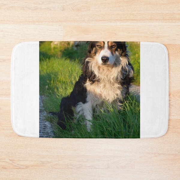 Item preview, My name is Laddie. designed and sold by Michael Haslam.