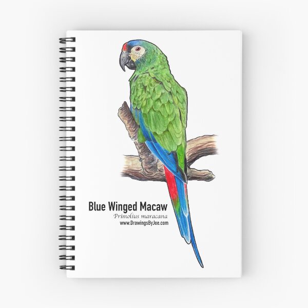 Item preview, Blue Winged Macaw designed and sold by Joe Richichi.