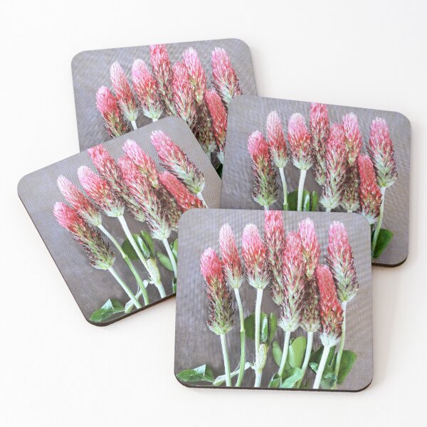 Artikelvorschau, einige Feldblumen entworfen und verkauft von TessAndre.