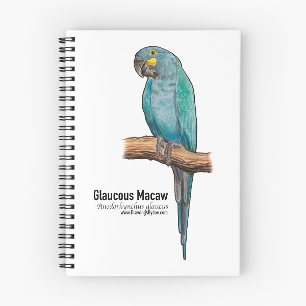 Item preview, Glaucous Macaw designed and sold by Joe Richichi.