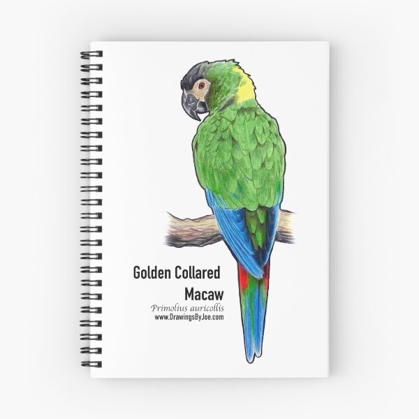 Item preview, Golden Collared Macaw designed and sold by Joe Richichi.