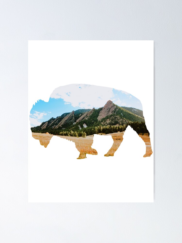 "CU Boulder " Poster for Sale by pmmc0 Redbubble