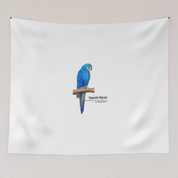 Item preview, Hyacinth Macaw designed and sold by Joe Richichi.