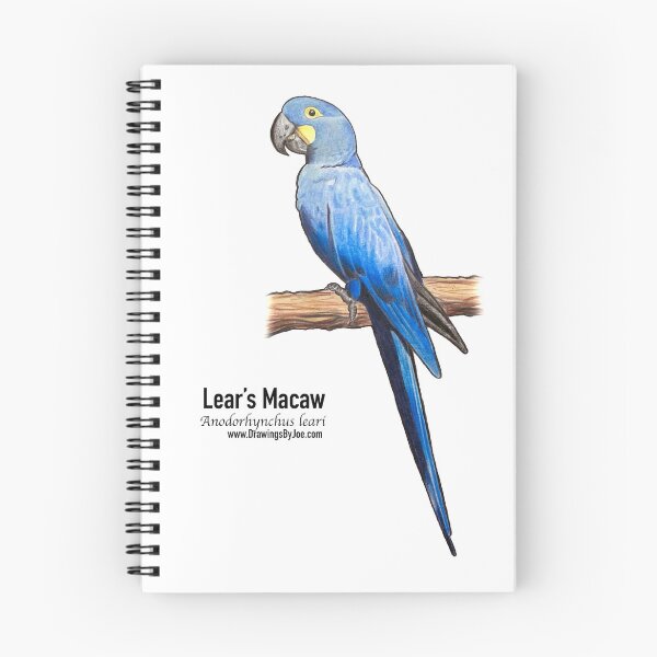 Item preview, Lear's Macaw designed and sold by Joe Richichi.