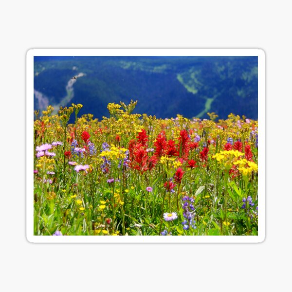 Item preview, Nature's Paintbrush - Mountain Wildflowers designed and sold by NaturePrints.