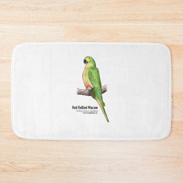 Item preview, Red Bellied Macaw designed and sold by Joe Richichi.