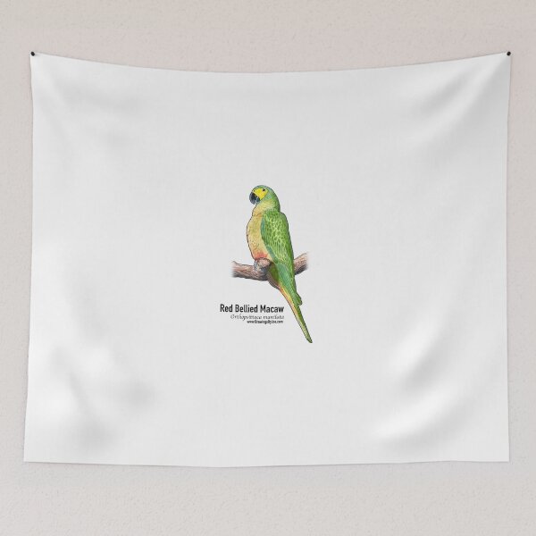 Item preview, Red Bellied Macaw designed and sold by Joe Richichi.