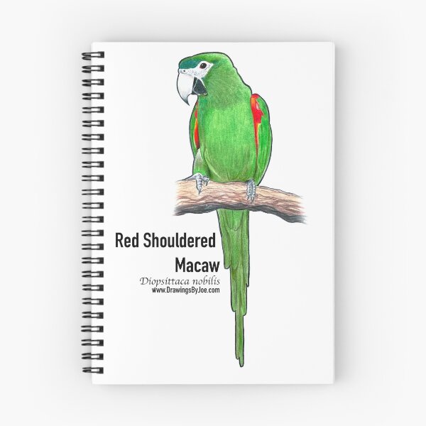Item preview, Red Shouldered Macaw designed and sold by Joe Richichi.