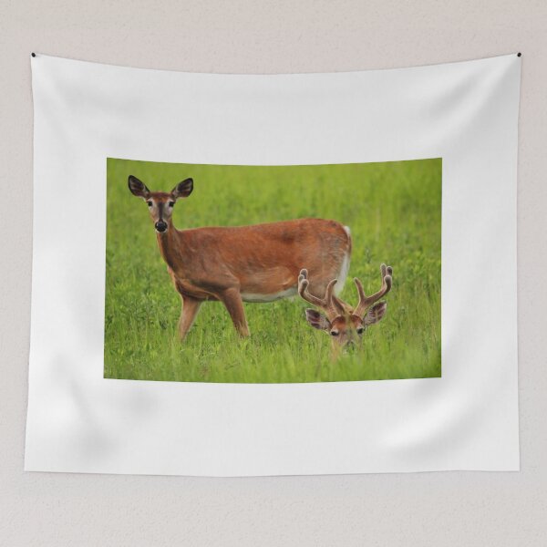 Item preview, One Up, One Down designed and sold by Larry Trupp.