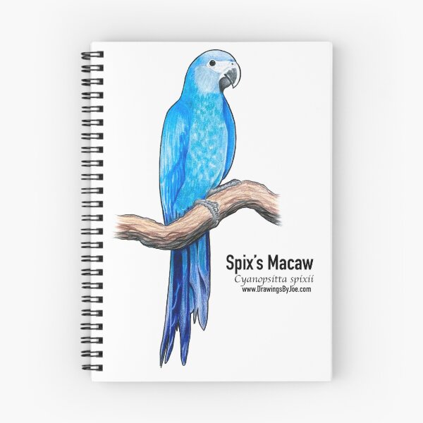 Item preview, Spix's Macaw designed and sold by Joe Richichi.