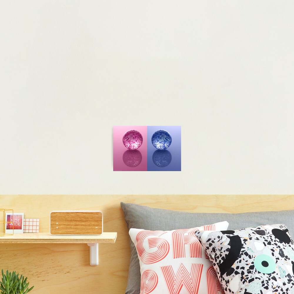 two Photographic Print