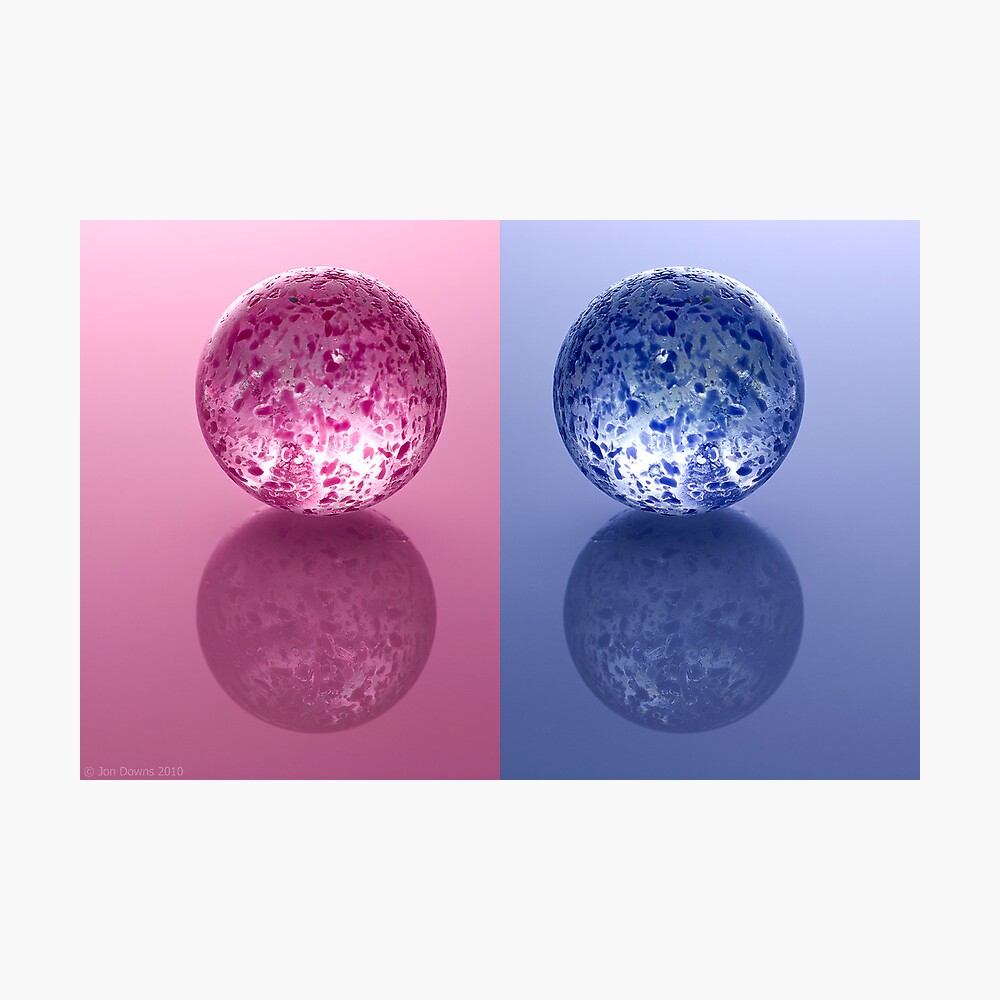two Photographic Print