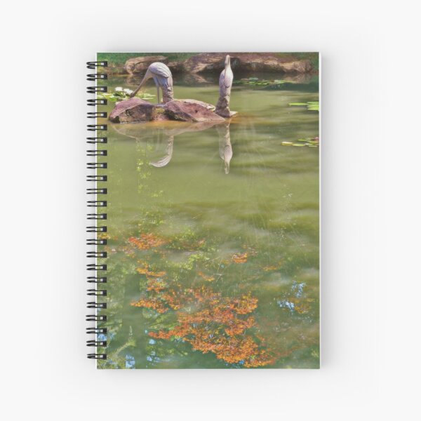 Item preview, Reflection designed and sold by Scott Mitchell.