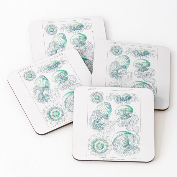 Item preview, Plate 36. Leptomedusae, an order of flattened, saucer-shaped jellyfish. designed and sold by Squirrox.