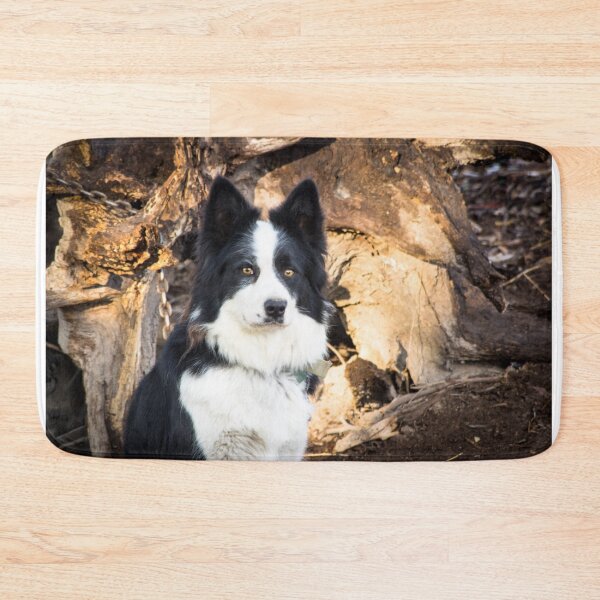 Item preview, Sally - A Working Dog designed and sold by Clare Colins.