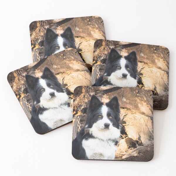 Item preview, Sally - A Working Dog designed and sold by Clare Colins.