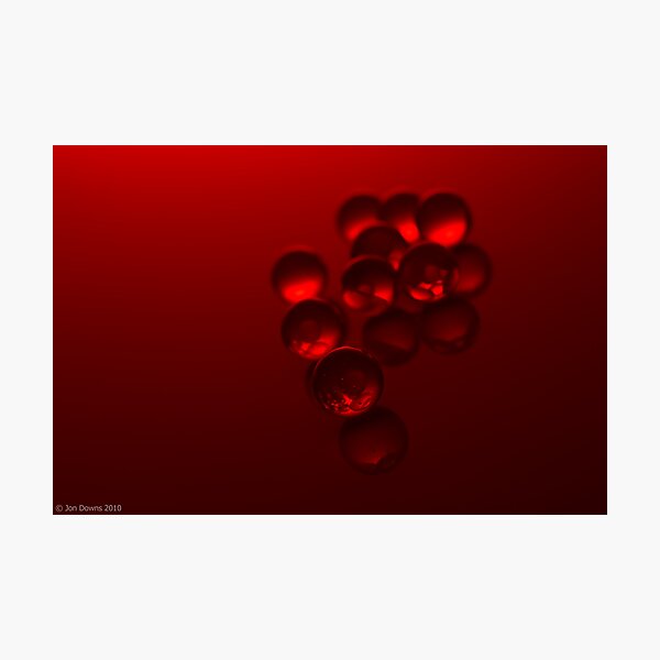 nine Photographic Print
