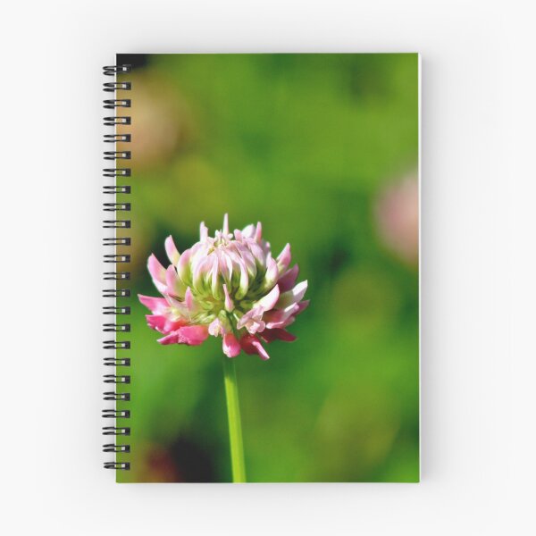 Item preview, Alsike Clover designed and sold by Kathleen Daley.