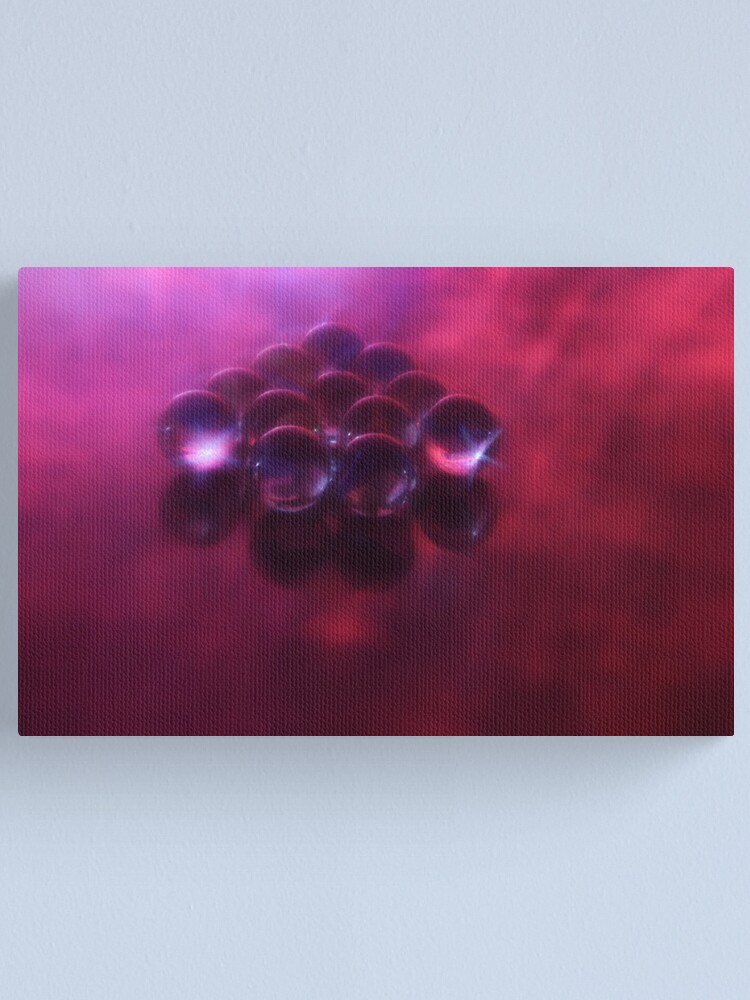 Alternate view of twelve Canvas Print