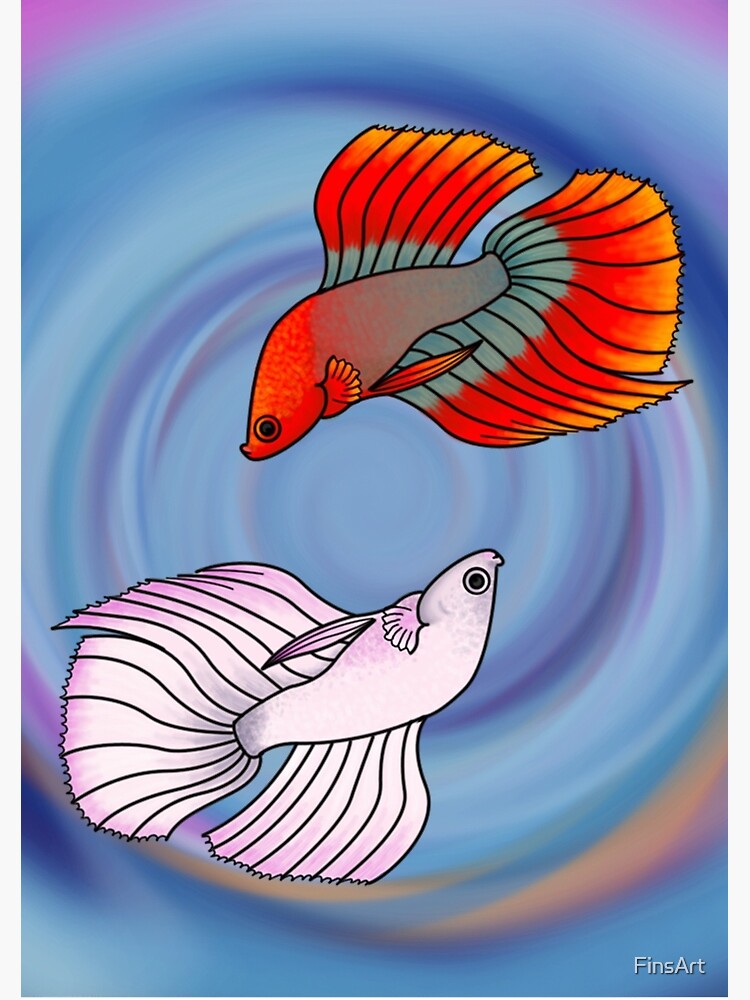 Betta Beauties by FinsArt