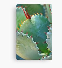 Spike Canvas Print