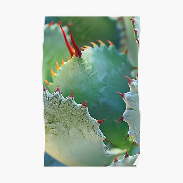 Spike Poster