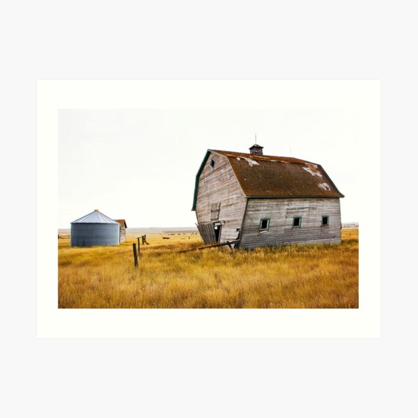 The Walking Barn Art Print