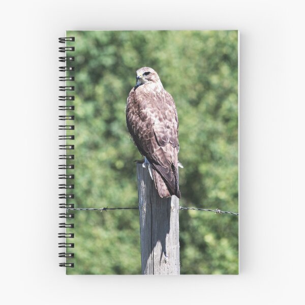 Item preview, Sitting on the Fence Post designed and sold by Alyce Taylor.