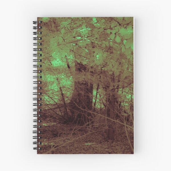 Item preview, Forest Gloom designed and sold by DVJPhotography.