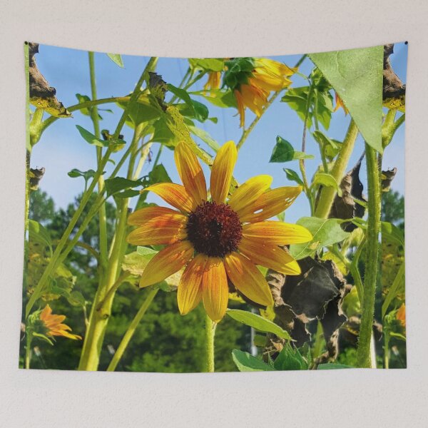 Item preview, Sol en la granja designed and sold by wizard336.