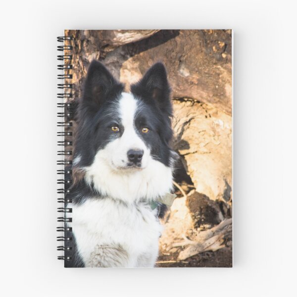 Item preview, Sally - A Working Dog designed and sold by Clare Colins.