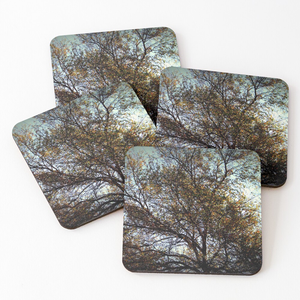 Item preview, Coasters (Set of 4) designed and sold by Evita.