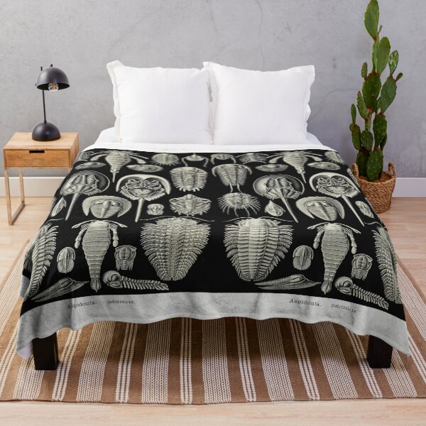 Item preview, Plate 47. Trilobites and Sea Scorpions designed and sold by Squirrox.