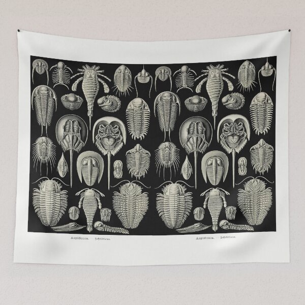 Item preview, Plate 47. Trilobites and Sea Scorpions designed and sold by Squirrox.
