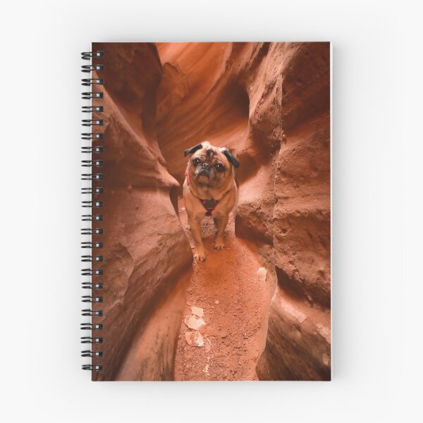 Item preview, Slot Canyon Pug Squeeze designed and sold by pugventurephoto.