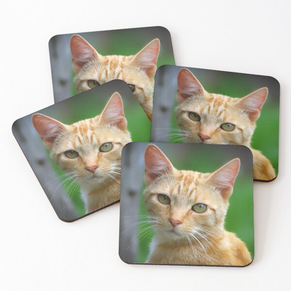 Item preview, Ginger Cat II designed and sold by Clare Colins.