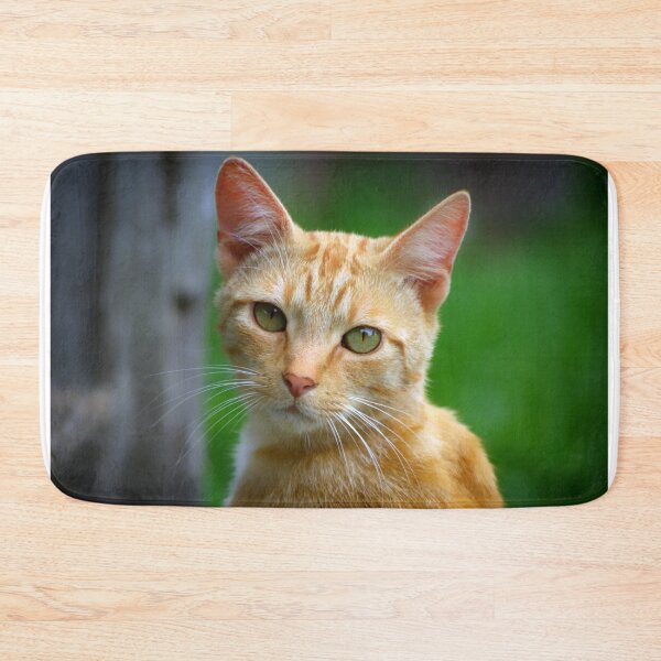 Item preview, Ginger Cat II designed and sold by Clare Colins.