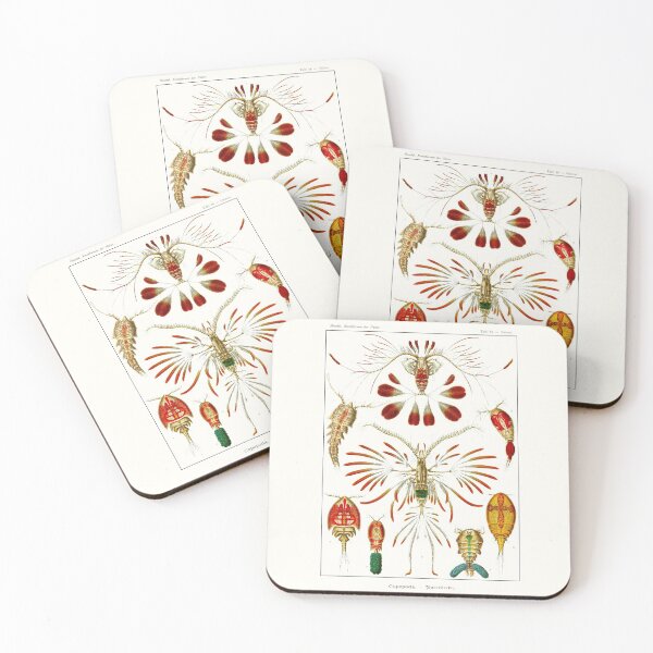 Item preview, Plate 56. Copepods, small crustaceans from nearly every water habitat. designed and sold by Squirrox.