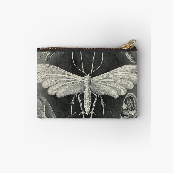 Item preview, Plate 58. Tineida, an abandoned grouping of moths. designed and sold by Squirrox.