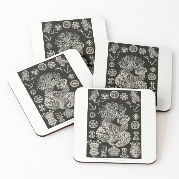 Item preview, Plate 50. Thuroidea, a now abandoned grouping of sea cucumbers. designed and sold by Squirrox.