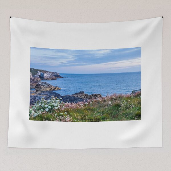 Item preview, Anglesey coastline designed and sold by craig777red.
