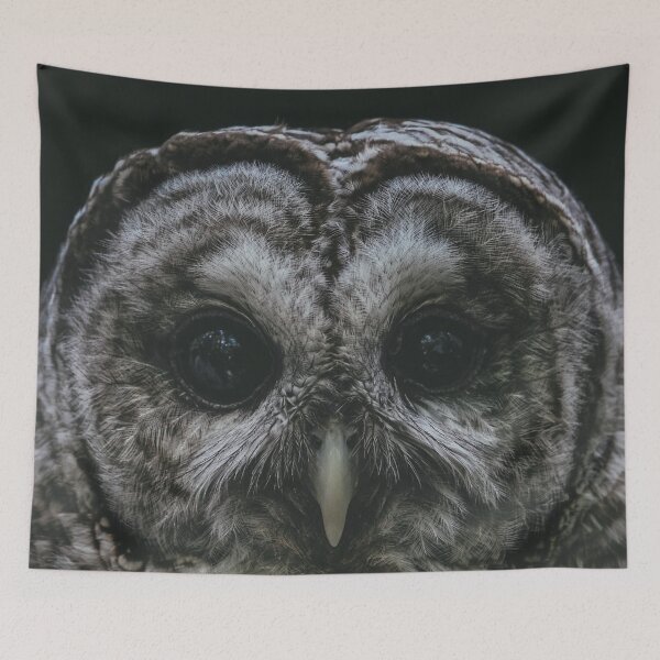 Item preview, A Barred Owl designed and sold by Caitlin Meyer.