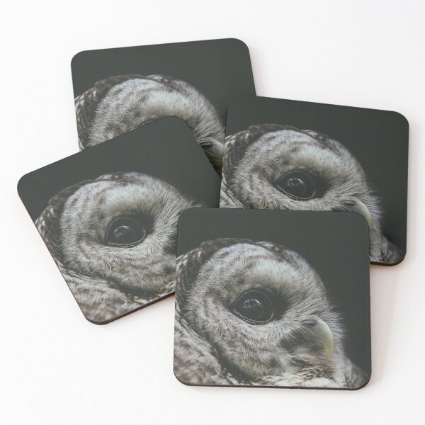 Item preview, A Barred Owl's Gaze designed and sold by Caitlin Meyer.