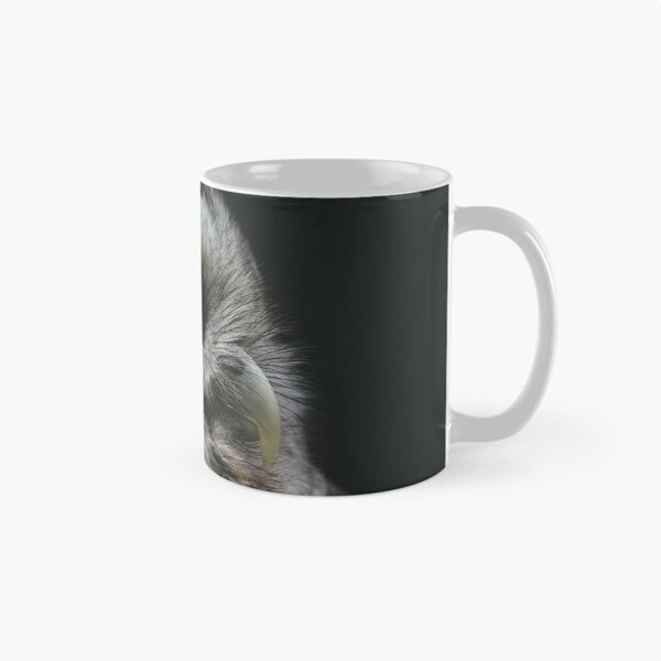 Item preview, A Barred Owl's Gaze designed and sold by Caitlin Meyer.
