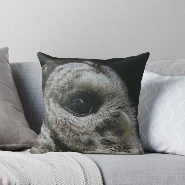 Item preview, A Barred Owl's Gaze designed and sold by Caitlin Meyer.