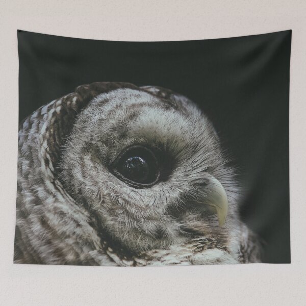 Item preview, A Barred Owl's Gaze designed and sold by Caitlin Meyer.