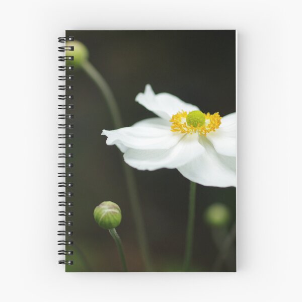 Item preview, wind anenome designed and sold by Clare Colins.